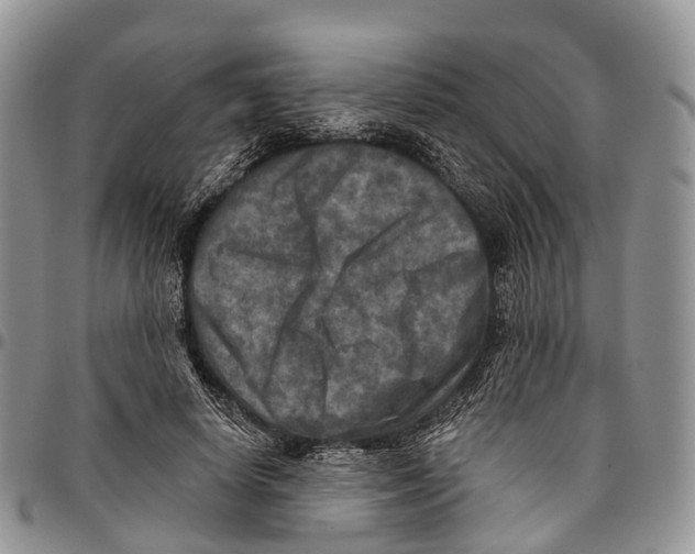 X0000096710642200803041342