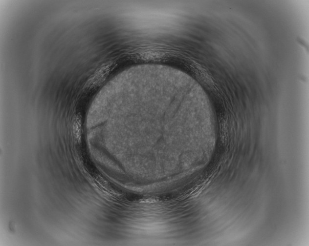 X0000096710644200803041342