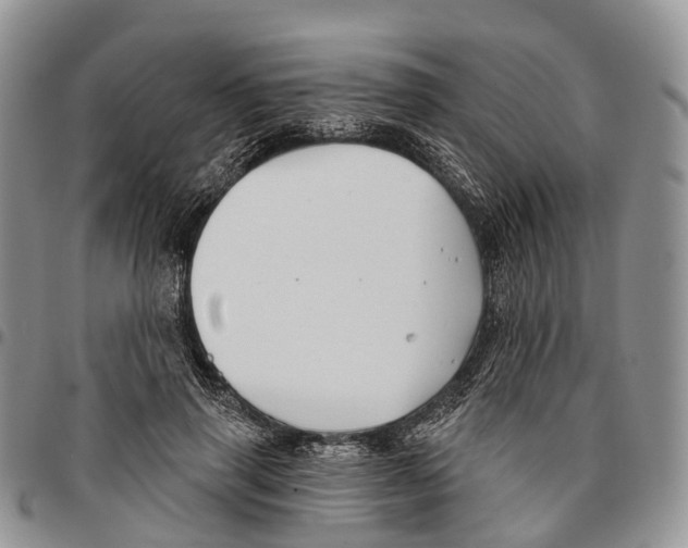 X0000096710645200803041342