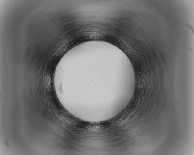 X0000096710646200803041342