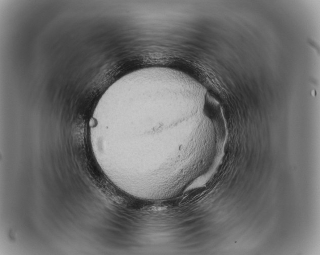 X0000096710647200803041342