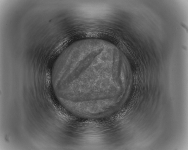 X0000096710648200803041342