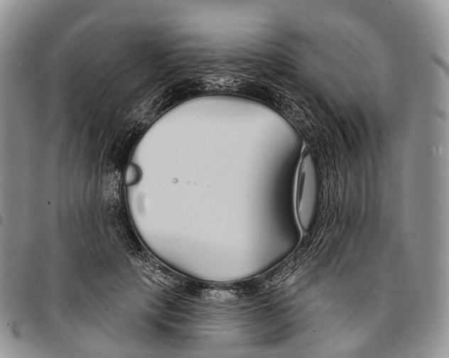 X0000096710649200803041342