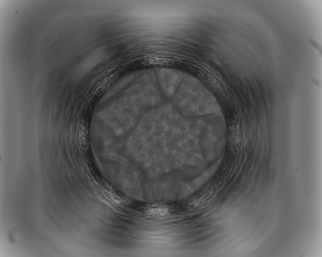 X0000096710653200803041342