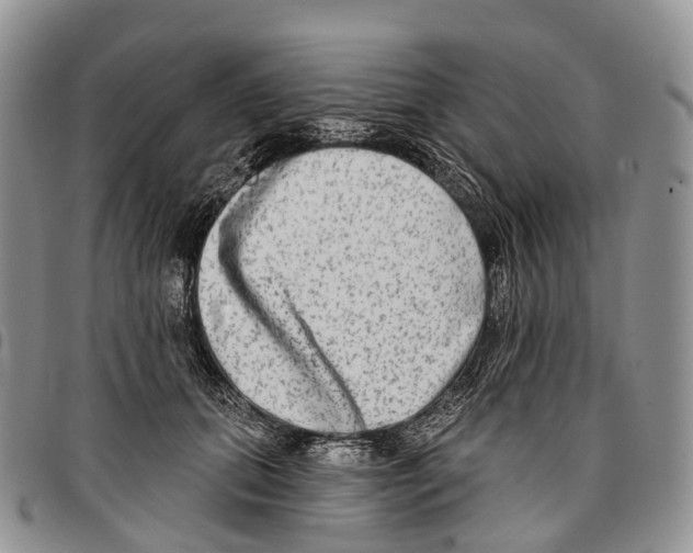 X0000096710655200803041342