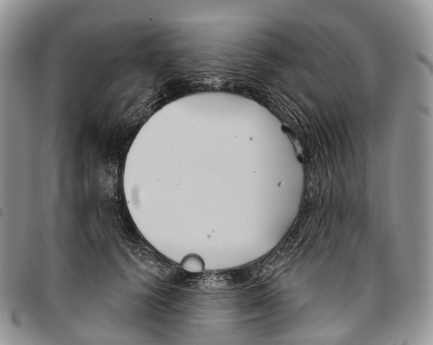 X0000096710656200803041342