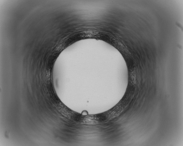 X0000096710657200803041342