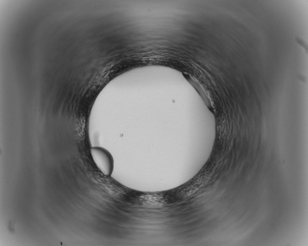 X0000096710660200803041342