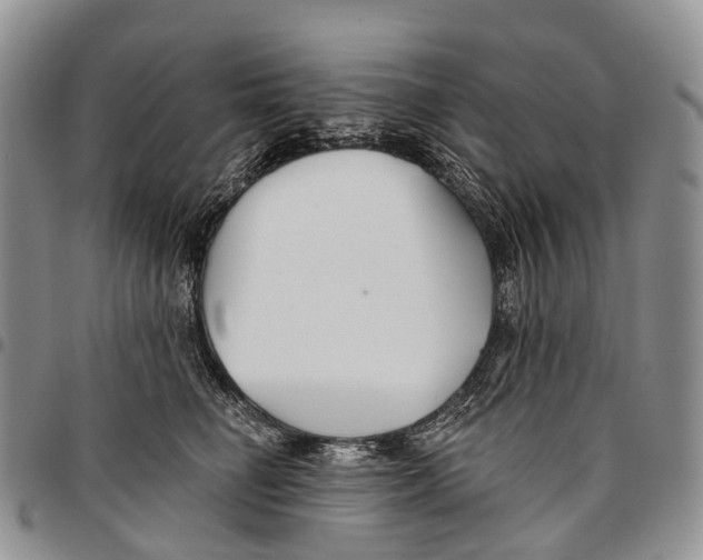 X0000096710662200803041342