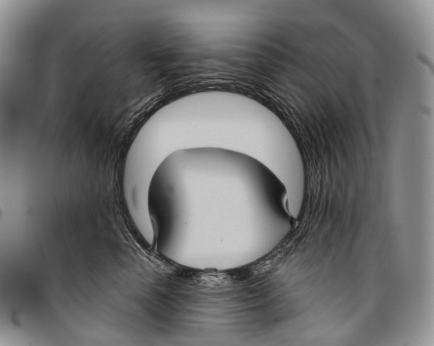 X0000096710666200803041342