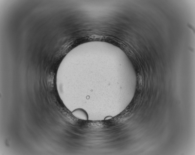 X0000096710668200803041342