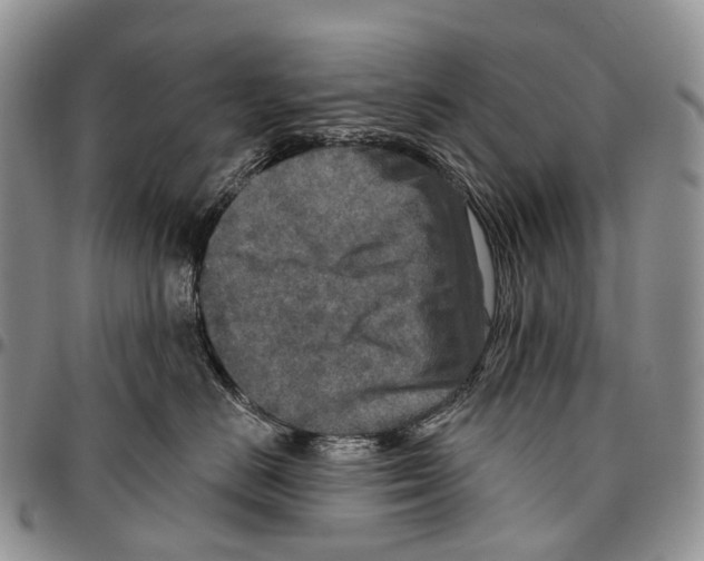 X0000096710670200803041342