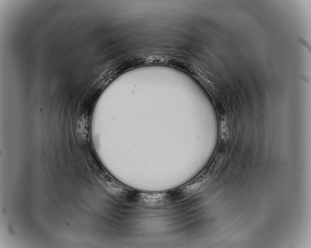 X0000096710671200803041342