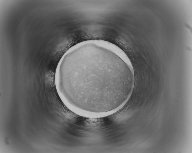 X0000096710672200803041342