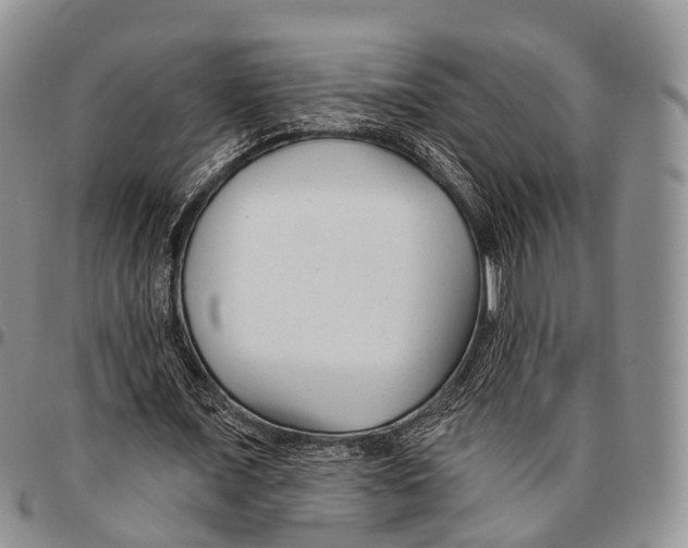 X0000096710675200803041341