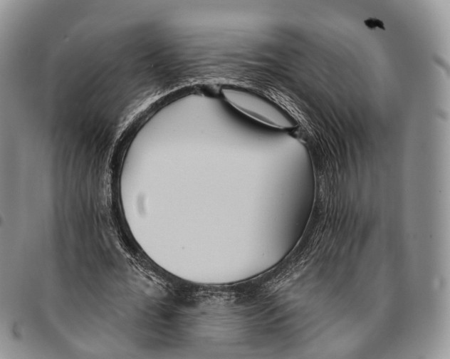 X0000096710676200803041341