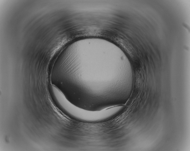 X0000096710677200803041341