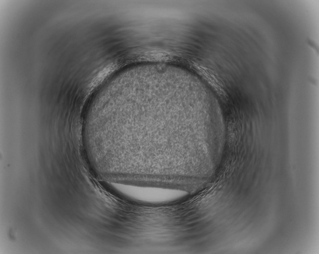 X0000096710679200803041341