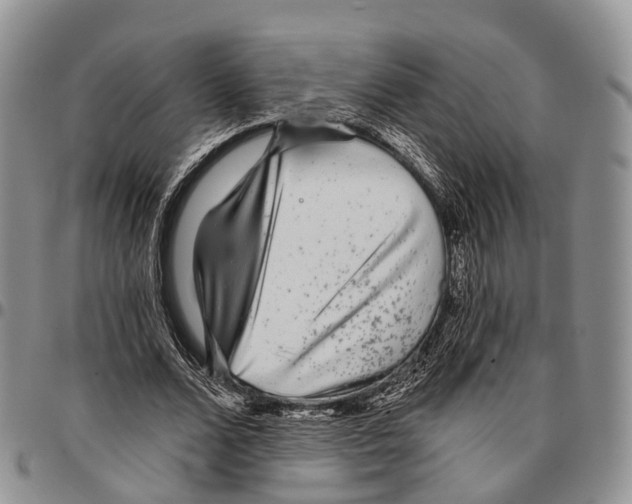 X0000096710680200803041341