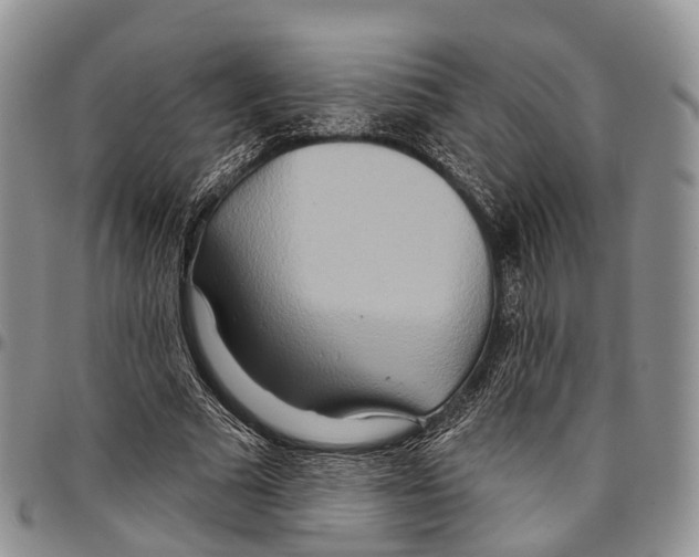 X0000096710681200803041341