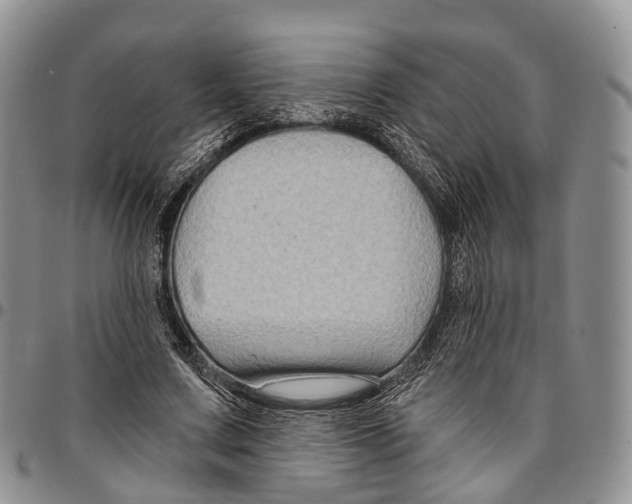 X0000096710683200803041341