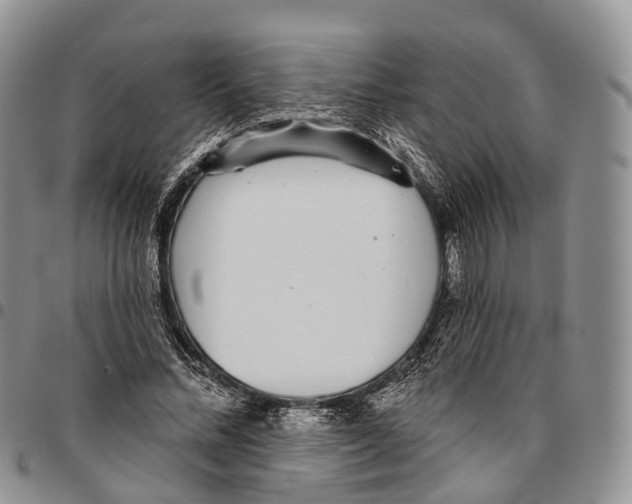 X0000096710684200803041341