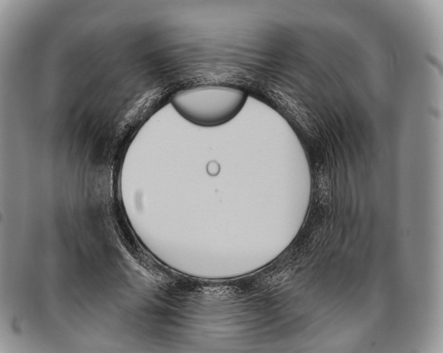 X0000096710686200803041341