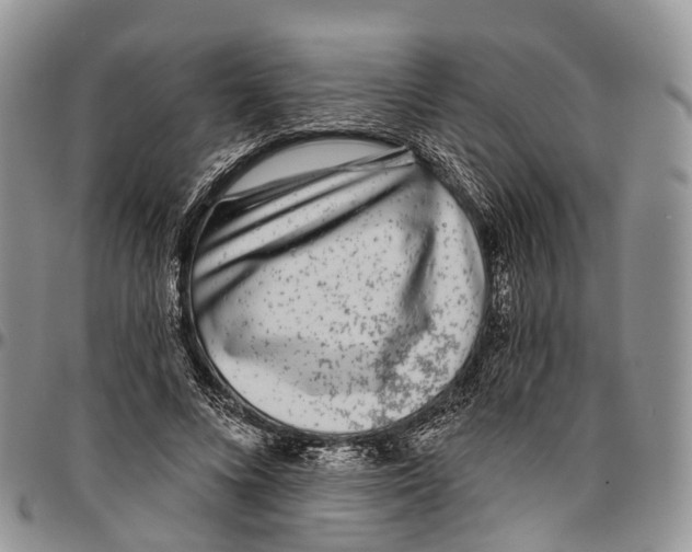 X0000096710688200803041341