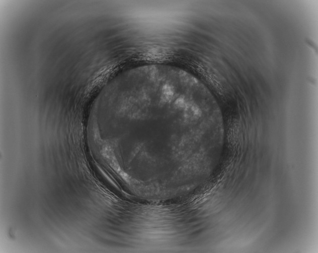 X0000096710689200803041341