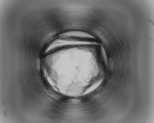 X0000096710692200803041341