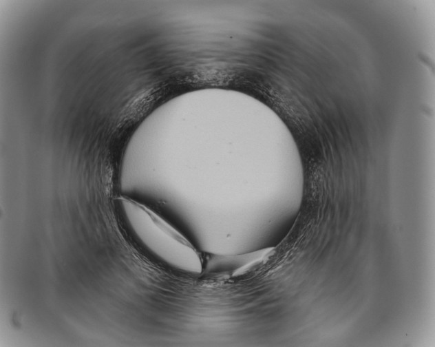 X0000096710693200803041341