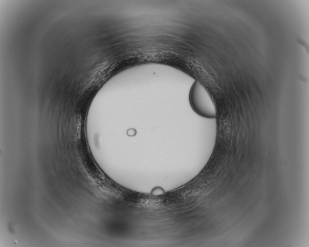 X0000096710694200803041341