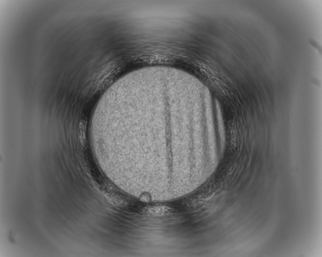 X0000096710695200803041341