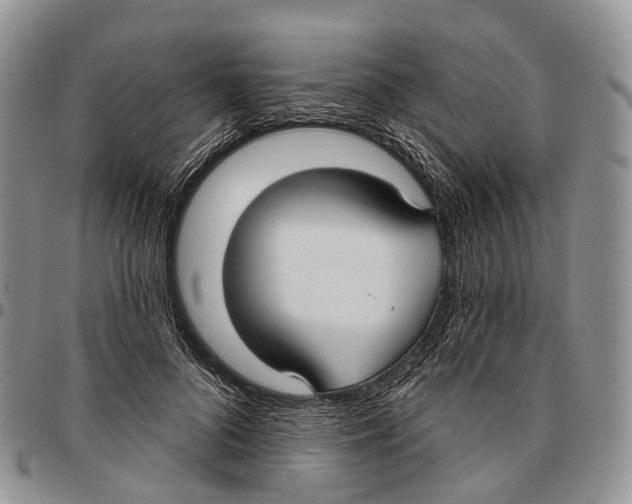 X0000096710696200803041341