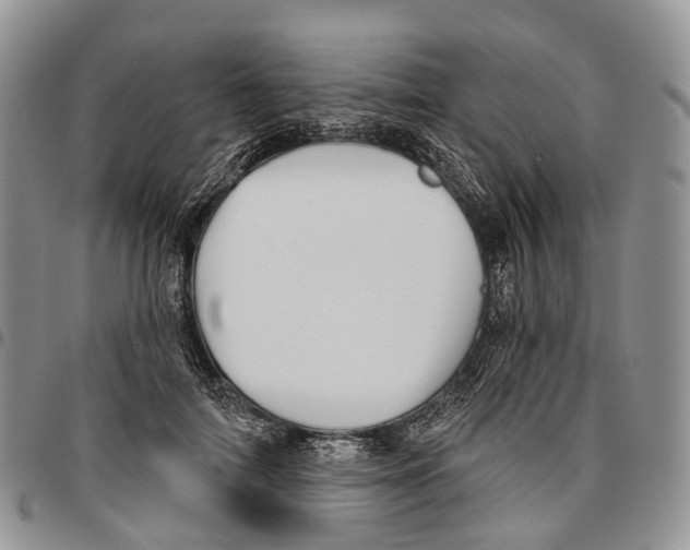 X0000096710698200803041341