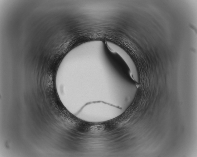 X0000096710700200803041341