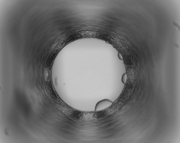 X0000096710709200803041341