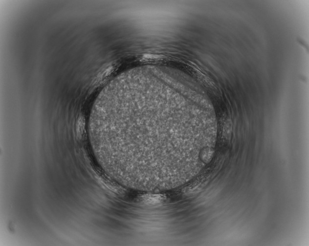 X0000096710711200803041341