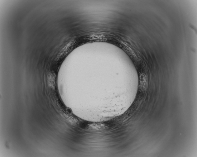 X0000096710712200803041341