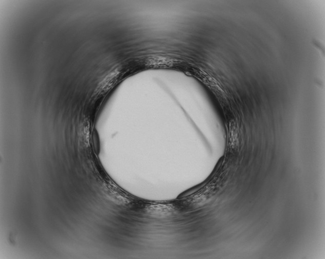 X0000096710716200803041341