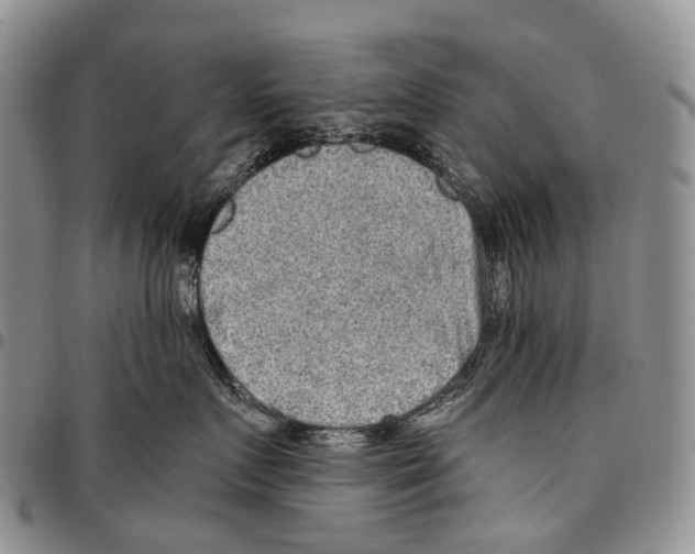 X0000096710719200803041341