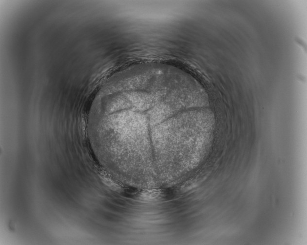 X0000096710720200803041341