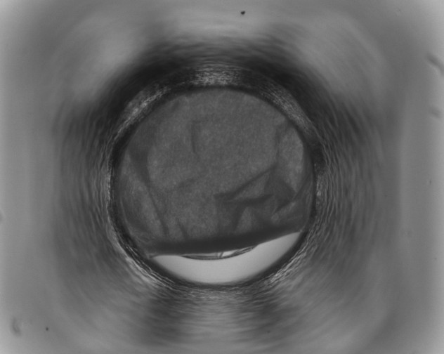 X0000096710722200803041340