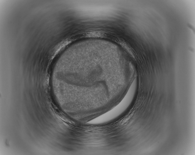 X0000096710723200803041340