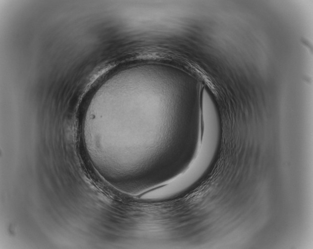 X0000096710724200803041340