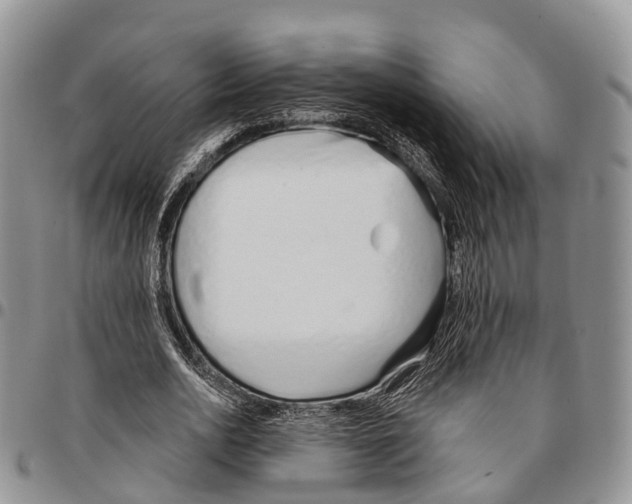 X0000096710726200803041340