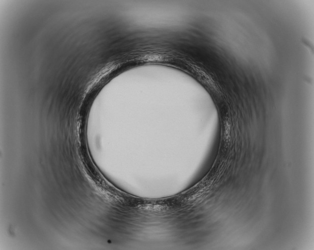 X0000096710730200803041340