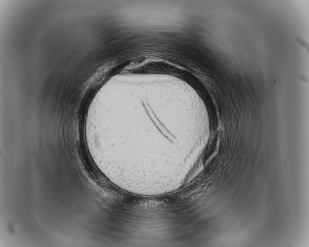 X0000096710734200803041340