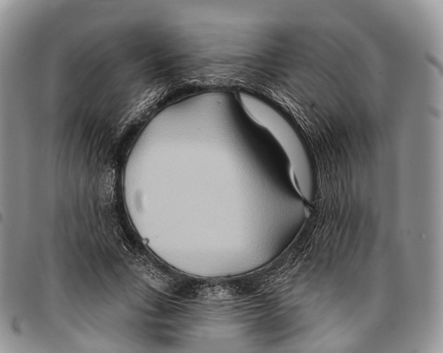 X0000096710735200803041340