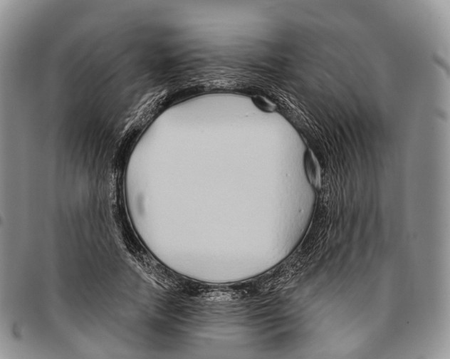 X0000096710738200803041340